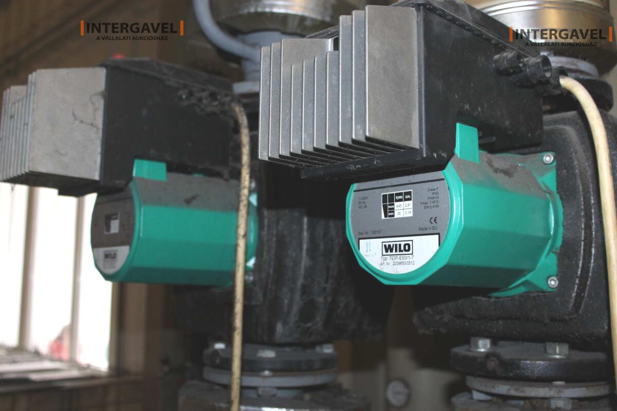 Bögre - minimál nem jön licit 5