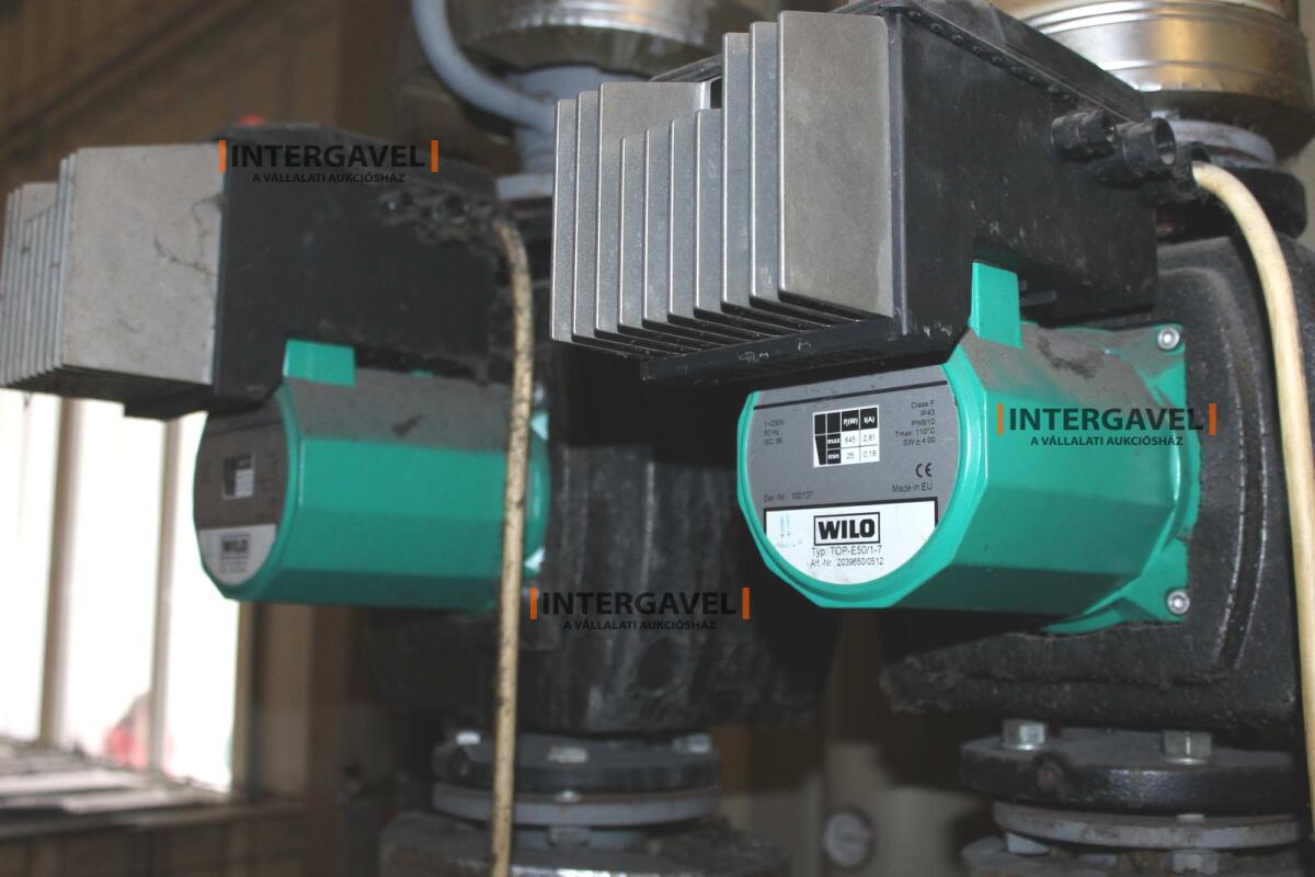 Bögre - minimál nem jön licit 5