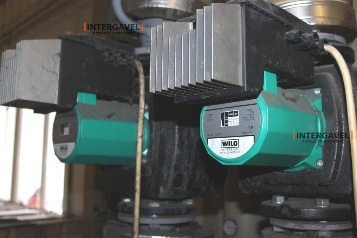 Bögre - minimál nem jön licit 5