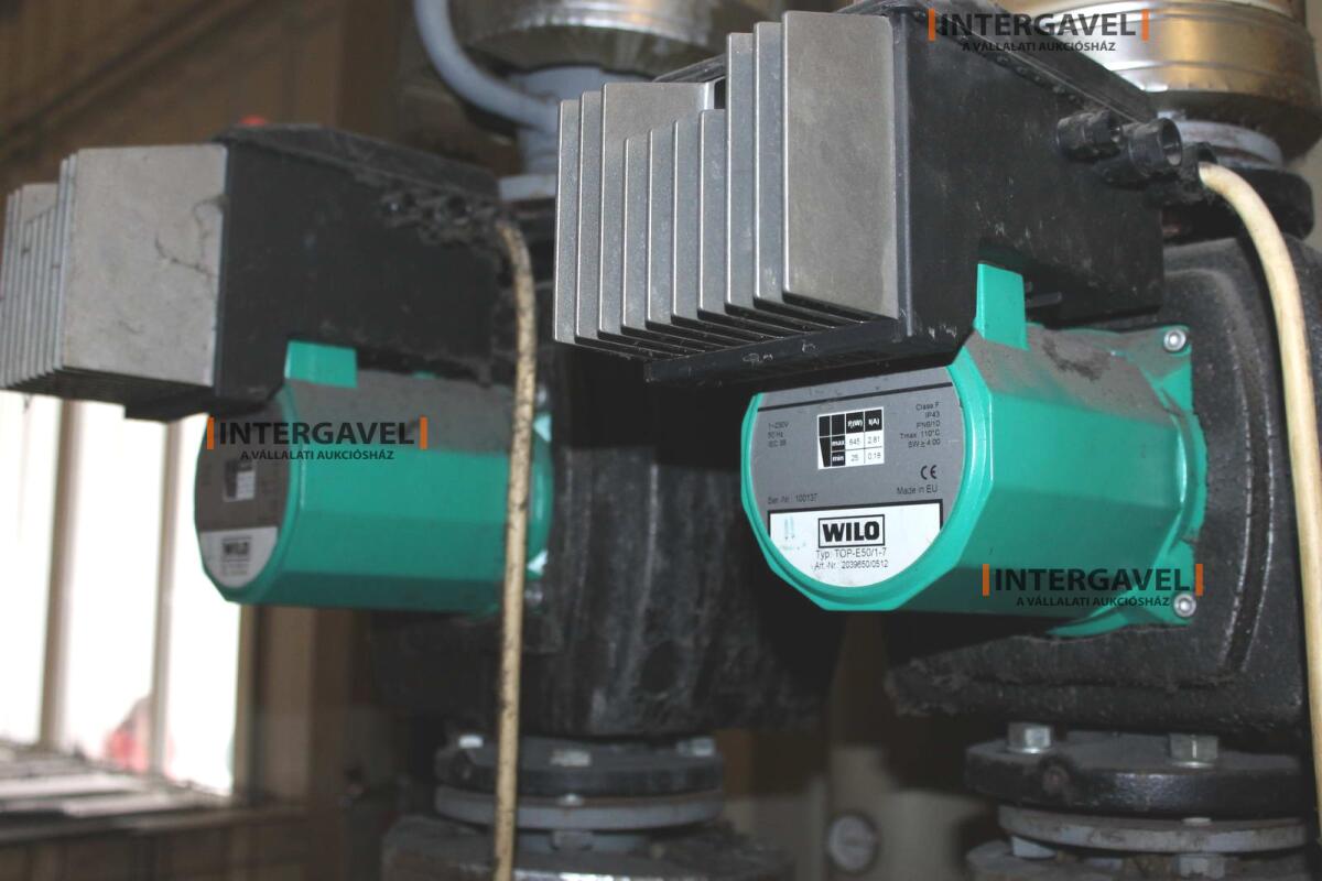 Bögre - minimál nem jön licit 5